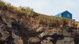 Незвичні форми і природні матеріали: Dezeen назвав найкращі будинки травня