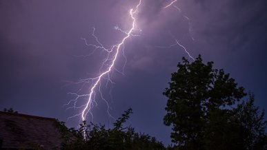 Не поспішайте садити їх біля оселі: дерева, які найчастіше притягують блискавки