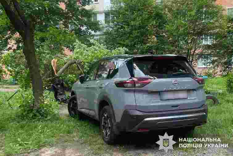 Водійка Nissan у Хмельницькому збила жінку з дитиною у візку та врізалася в дерево