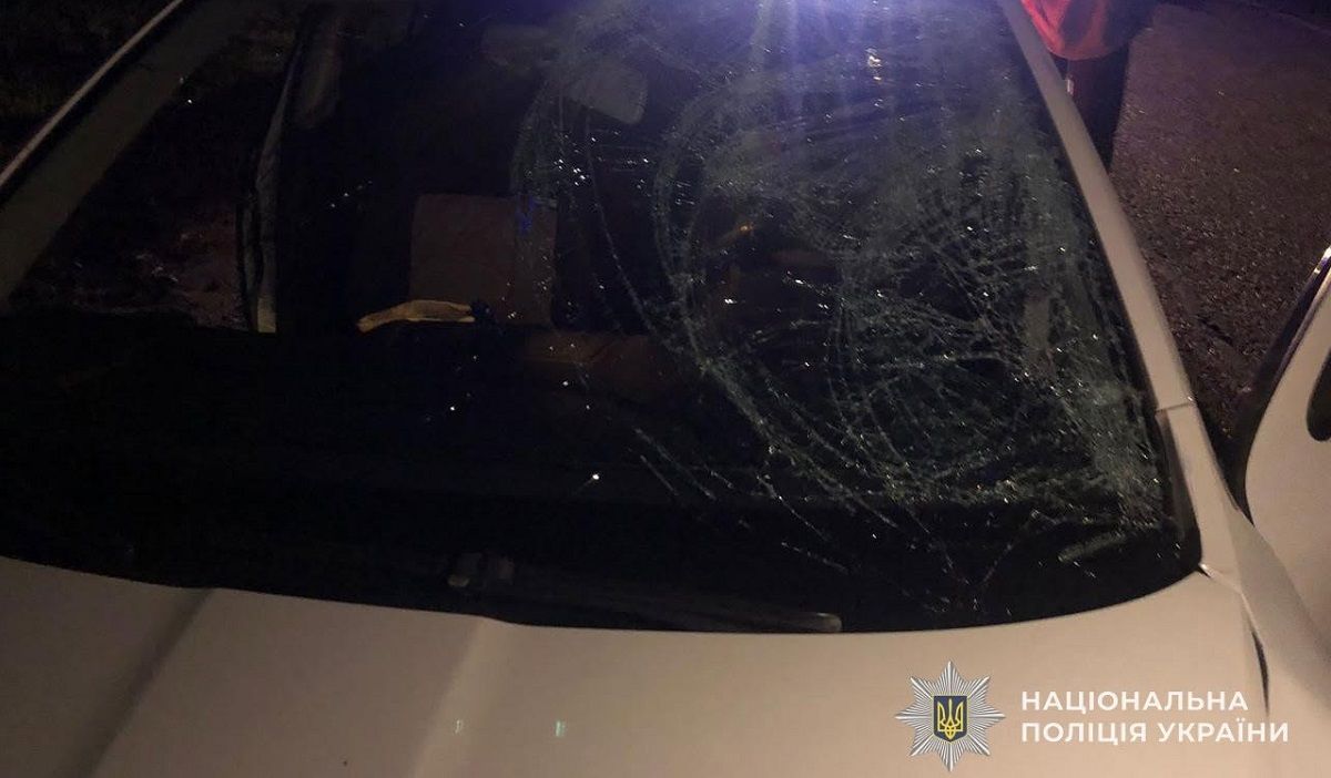 На Львівщині загинув велосипедист, який раптово виїхав на дорогу