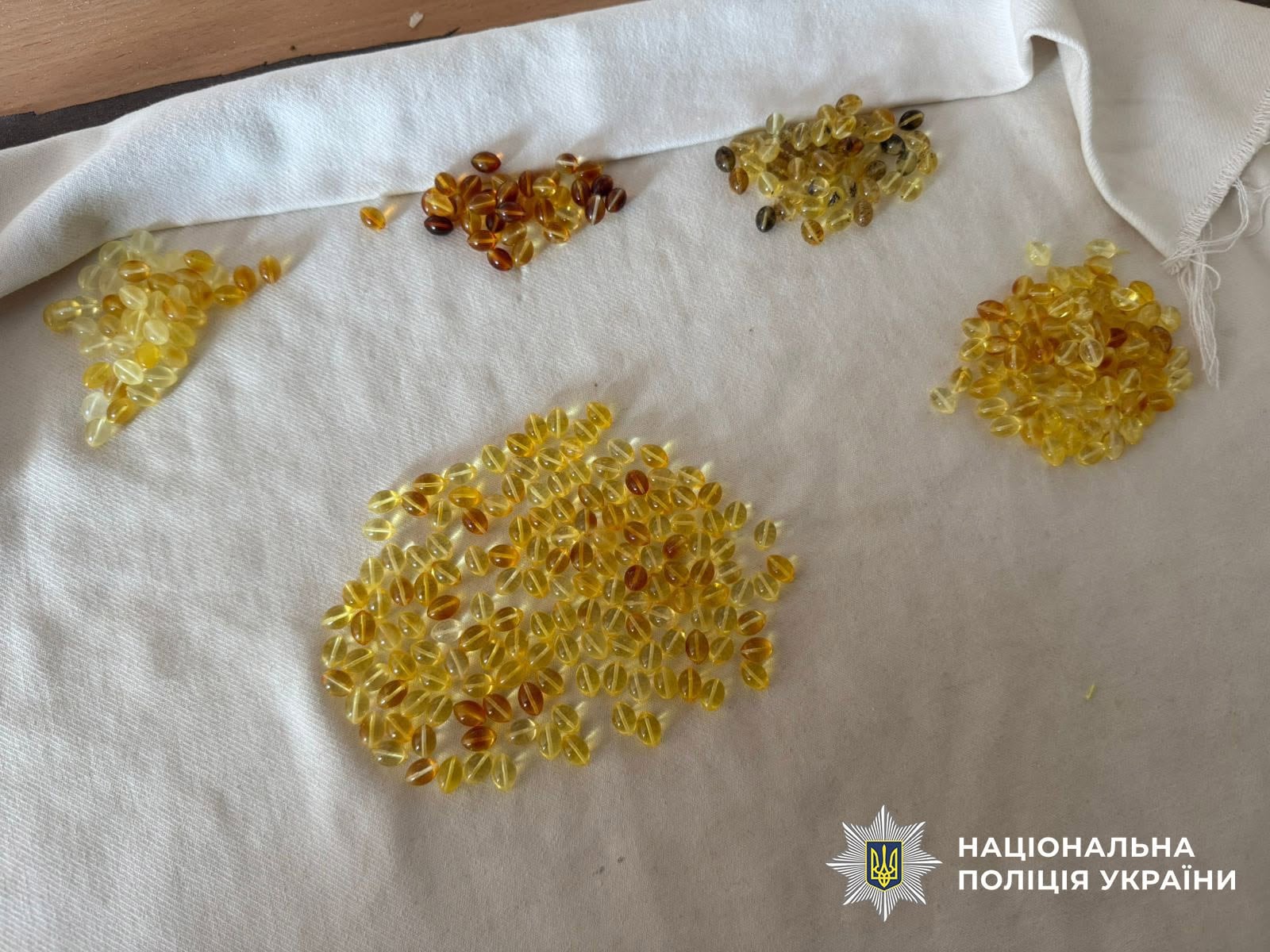 Під час 47 обшуків правоохоронці вилучили мотопомпи, бурштин, готівку та геологічну документацію