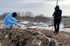 Майже 0,5 га землі на Буковині перетворили на звалище біовідходів
