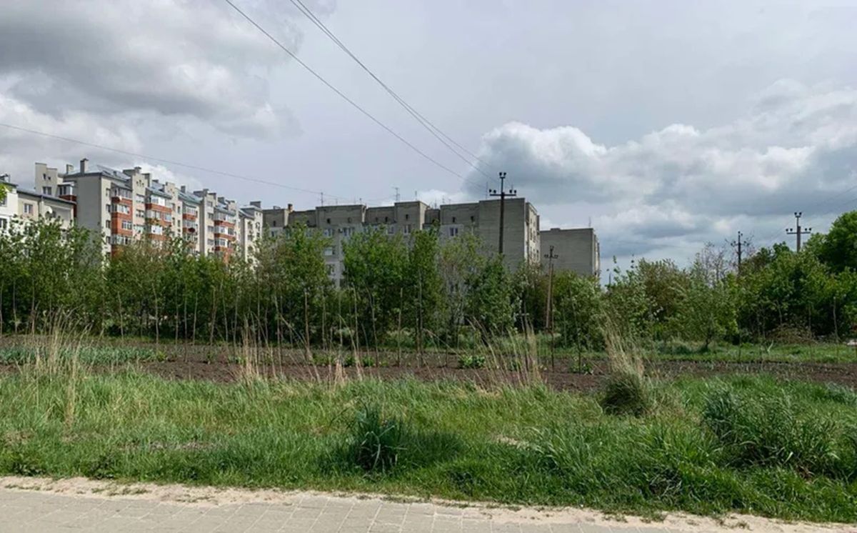 У Давидові за 20 млн грн продали земельну ділянку під будівництво багатоповерхівки
