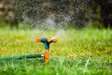 Не витрачайте воду на газон: 7 правил догляду, які допоможуть врятувати сад у спеку