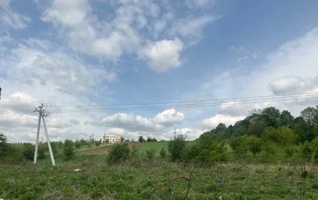 Давидівська сільрада за 1,9 млн грн продала землю компанії, яка займається розведенням птиці