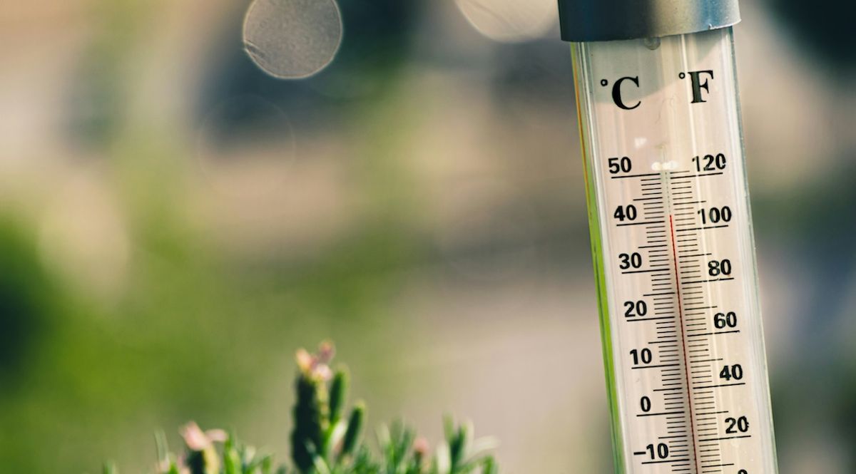 Чому вдома термометр показує +45°С, а метеостанція – лише +30°С: пояснення експертів