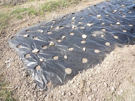 Забудьте про ножиці: цей спосіб допоможе миттєво зробити перфорацію агротканини