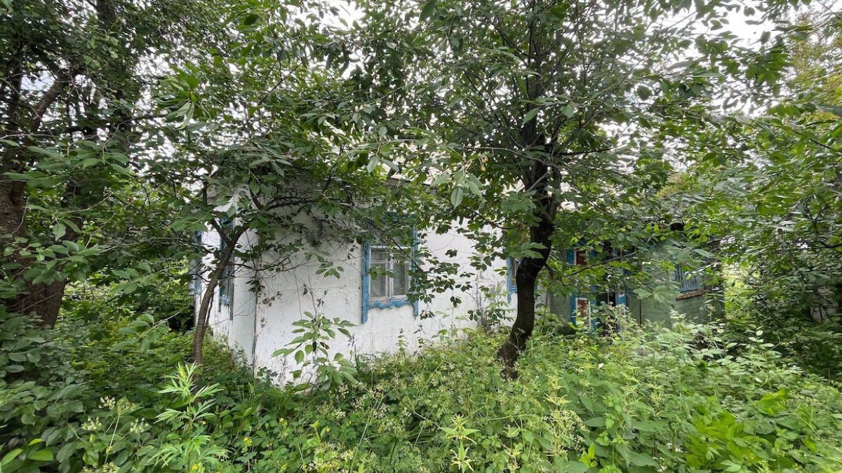 В Україні ревіталізують старовинні будинки, першу хату відновлять на Київщині