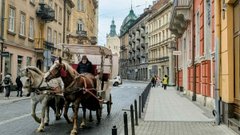 Львівська міськрада затвердила правила роботи кінних карет у центрі