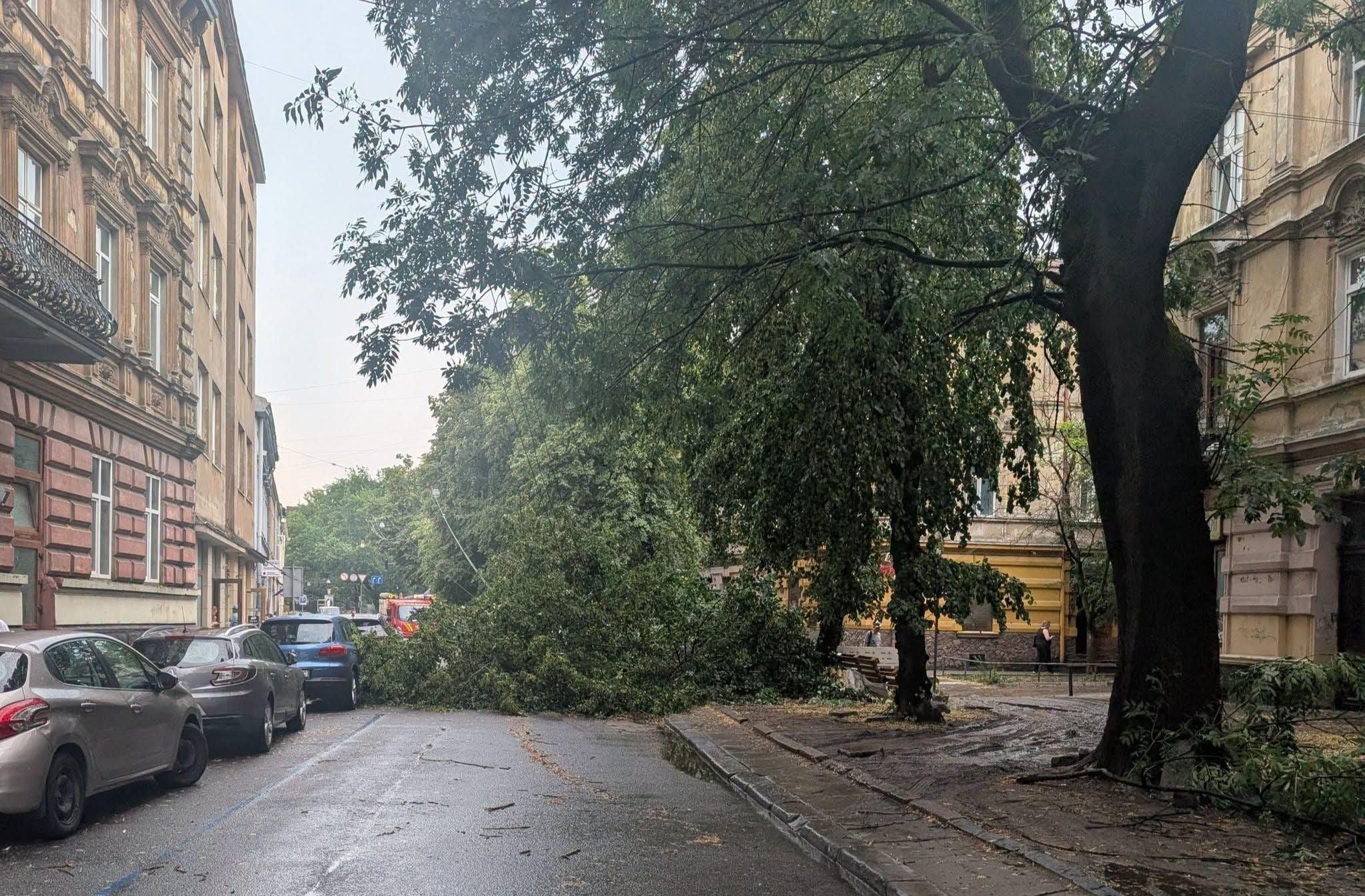Фото Юрія Лукашевського 