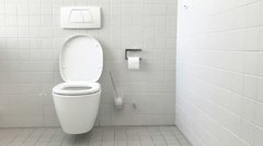 Більшість цього не знає: коли потрібно міняти сидіння унітаза