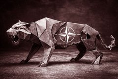 Або «Паперовий тигр», або новітнє НАТО 3.0
