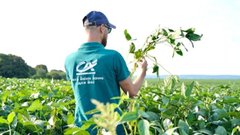 Як Креді Агріколь підтримує розвиток агробізнесу в Україні 