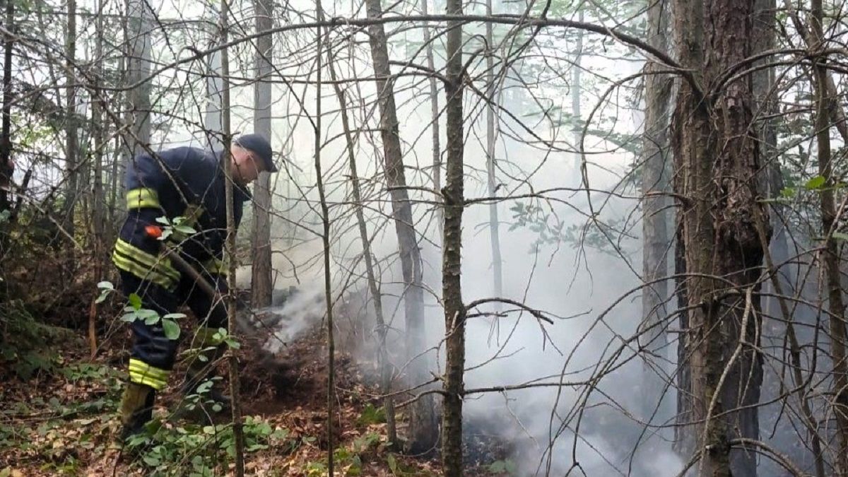 На Прикарпатті другу добу гасять лісову пожежу