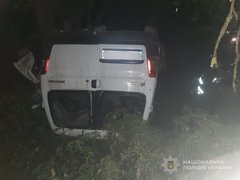 Водій Peugeot загинув унаслідок зіткнення з електроопорою на Волині 