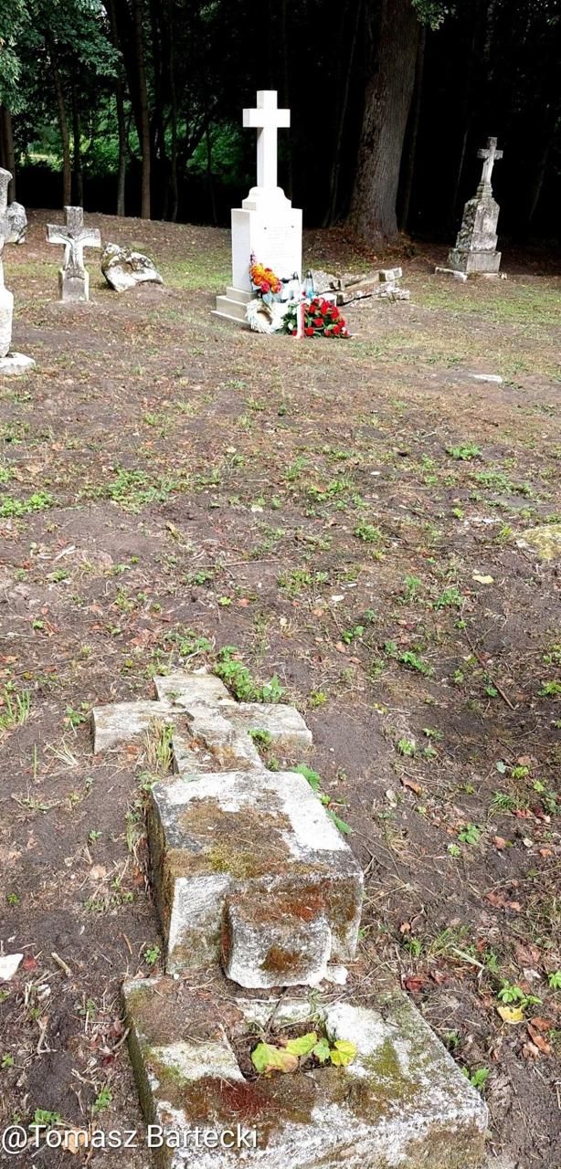 Невідреставрована частина цвинатря. Фото Томаша Бартецького