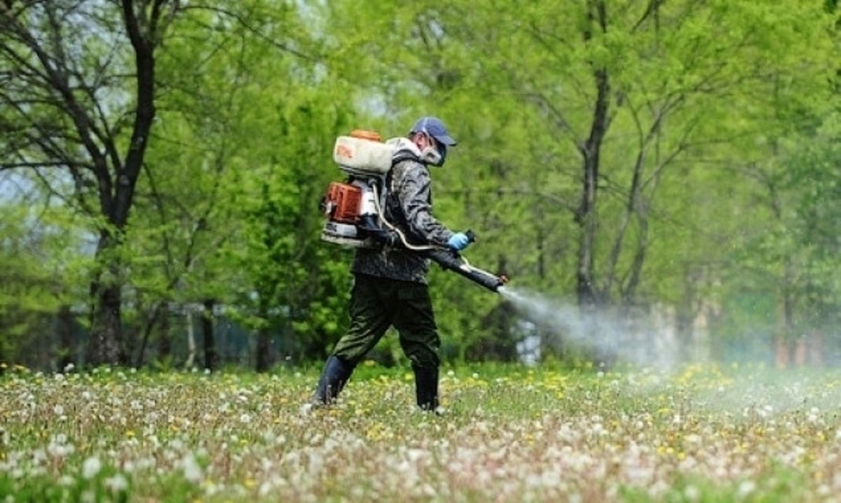 Відпочивальників просять добу не відвідувати дві локації на Шацьких озерах