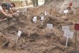 На Волині під час ексгумації жертв Волинської трагедії виявили останки щонайменше 38 людей