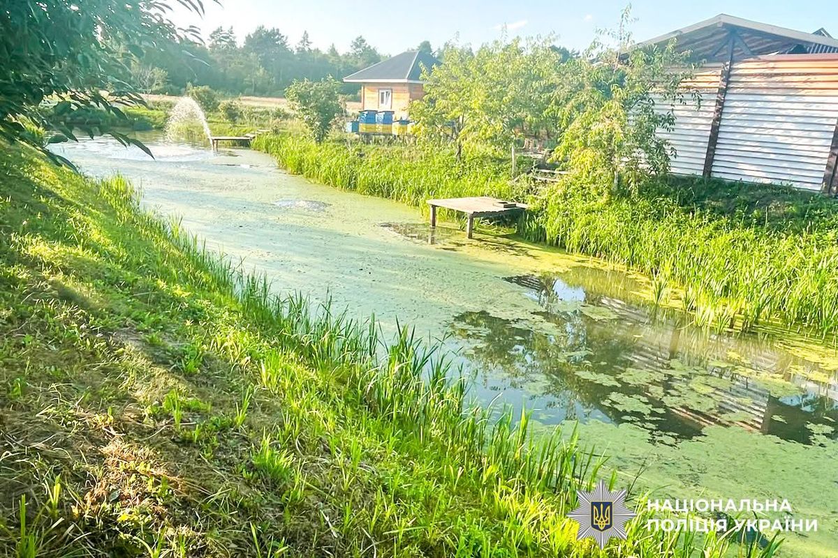 Дворічний хлопчик потонув у ставку на Рівненщині 