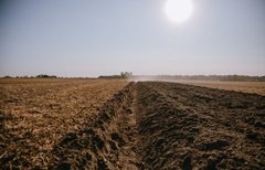 Житель Тернопільщини втратив близько 500 тис. грн через шахрайство агропідприємства