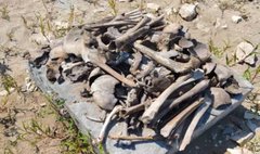 На Буковині перепоховали останки із затопленого кладовища, які виявили після обміління Дністра