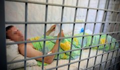 Організатор виставки озброєння на Київщині отримав підозру в службовій недбалості 