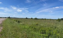 На Львівщині за понад 5 млн грн продали 2,3 га землі компанії з виробництва кормів