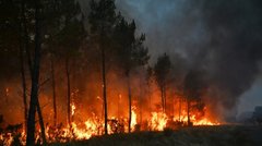 Україна відправила рятувальників до Франції для гасіння лісових пожеж 