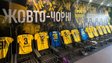 «Буковина» відкрила власну футбольну академію