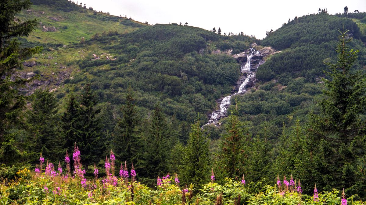 Унаслідок падіння з водоспаду біля Говерли загинула 53-річна туристка