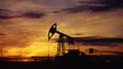 Бориславська нафтова компанія втратила ліцензію через санкції РНБО