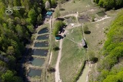 Прокуратура вимагає у підприємця зі Стрия знести рибники на Закарпатті