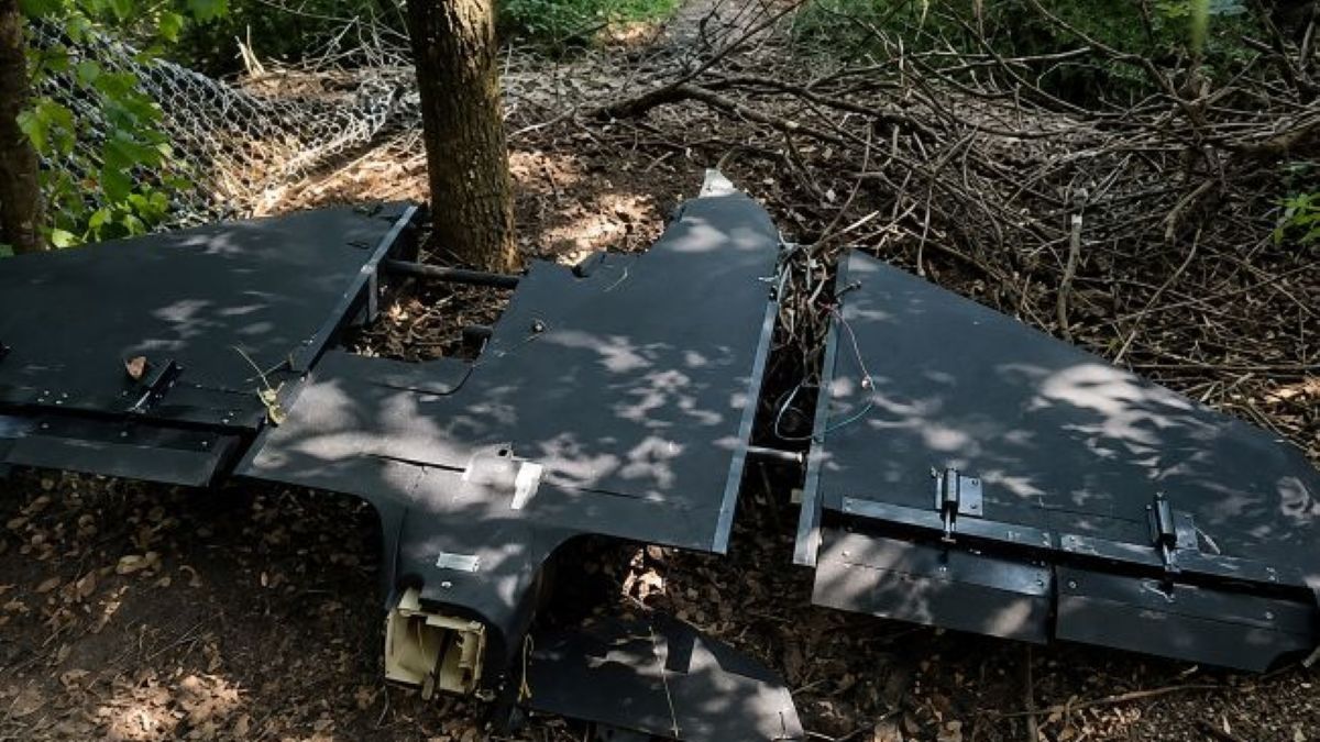 В Україні помітили нову модифікацію російського дрона «Гербера»