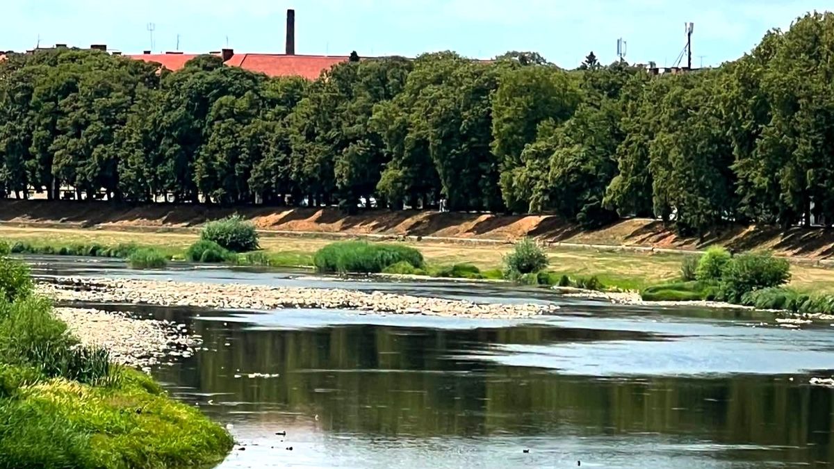 Через обміління річки в Ужгороді можуть обмежити подачу води