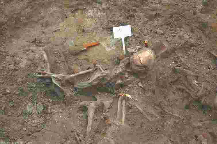 Археологи завершили ексгумацію жертв Волинської трагедії та виявили останки 55 людей