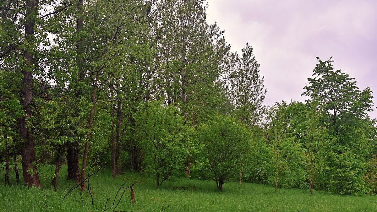 Поліція затримала підозрюваного у вбивстві жінки на вул. Золотій у Львові