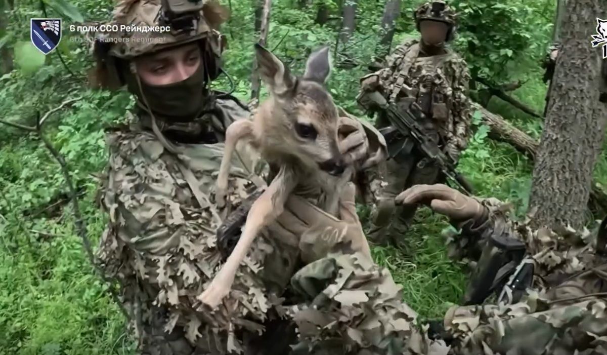 Бійці ССО під час операції врятували оленя й полонили трьох росіян