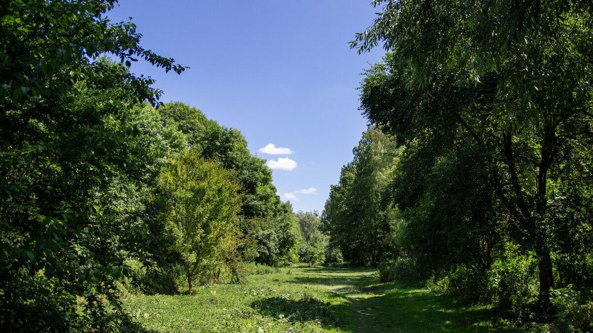 У Скнилівському парку у Львові виявили тіло чоловіка, який раніше зник безвісти