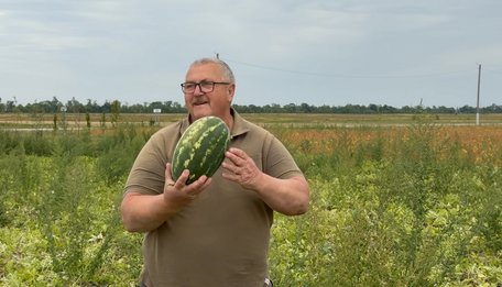 «Перші кавуни розібрали за 40 хвилин»