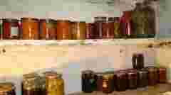 Облаштовуємо льох правильно: як зберегти продукти без світла
