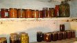 Облаштовуємо льох правильно: як зберегти продукти без світла
