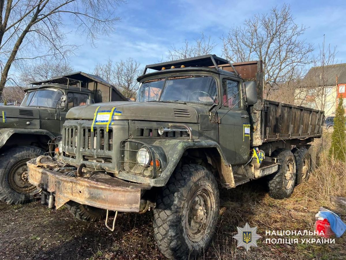 На Закарпатті викрили чорних лісорубів, які нищили дерева в заповіднику