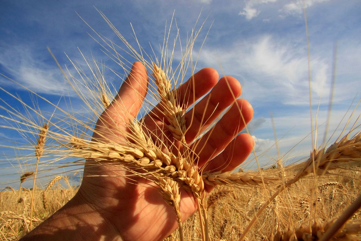 Ціни на продукти у світі зросли до максимуму з 2022 року: що подорожчало найбільше