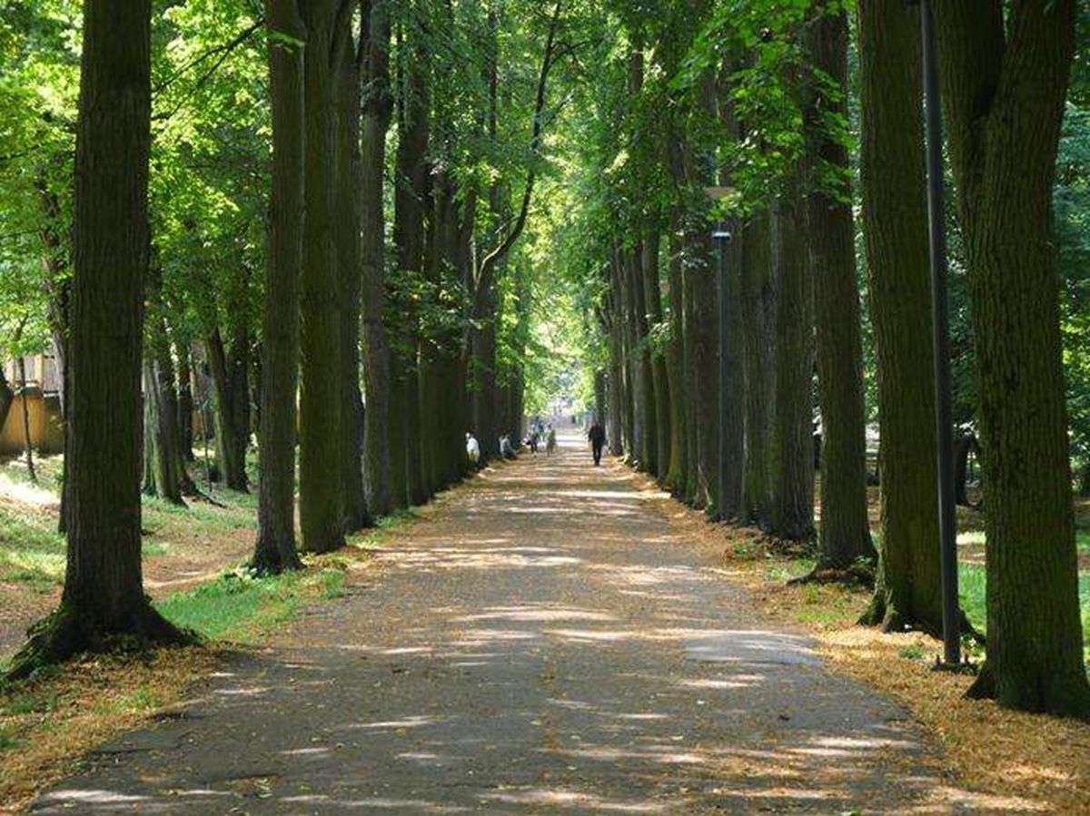 У Чернівцях оброблять від кліщів два міські парки