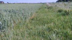 Суд зобовʼязав львівське підприємство сплатити 535 тис. грн за користування землею