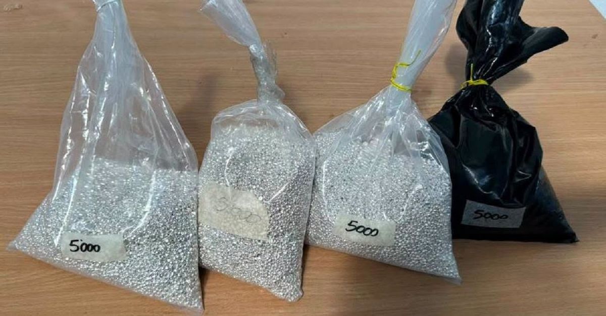 Закарпатські митники вилучили у водія рейсового автобуса 20 кг срібла
