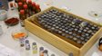 У львівському медуніверситеті відновлюють виготовлення ліків