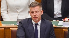 Петер Мадяр виступив проти будівництва в Угорщині нафтосховищ для України