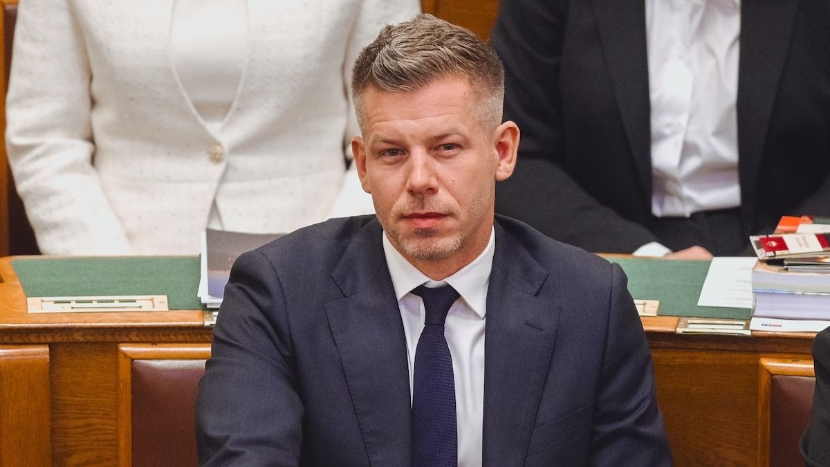 Петер Мадяр виступив проти будівництва в Угорщині нафтосховищ для України