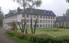 «При чому тут родинні зв'язки?»
